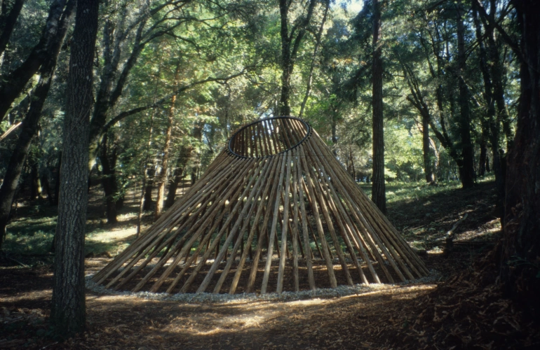 Camera, Wood and Steel, 240 x 360 x 20 inch, 2000