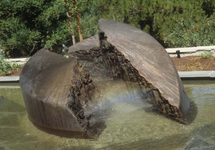 Rift Commission, Bronze, 30 x 50 inch, 1992