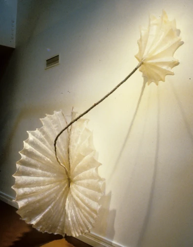 Amipod, Fiberglass and Rose Cane, 82 x 72 x 36 inch, 1980
