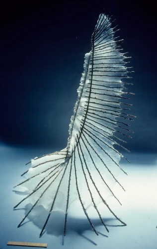 Cilia 1, Fiberglass and Rose Cane, 72 x 48 x 48 inch, 1980