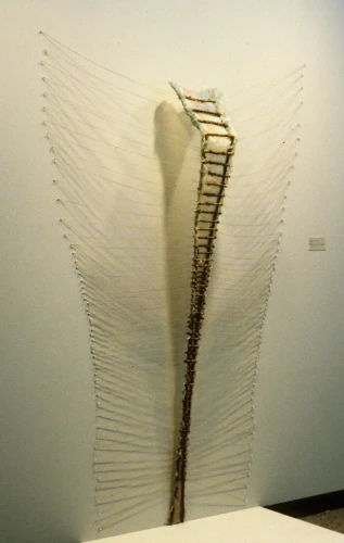 Twist Iowa, Fiberglass and Rose Cane, 60 x 36 x 20 inch, 1980