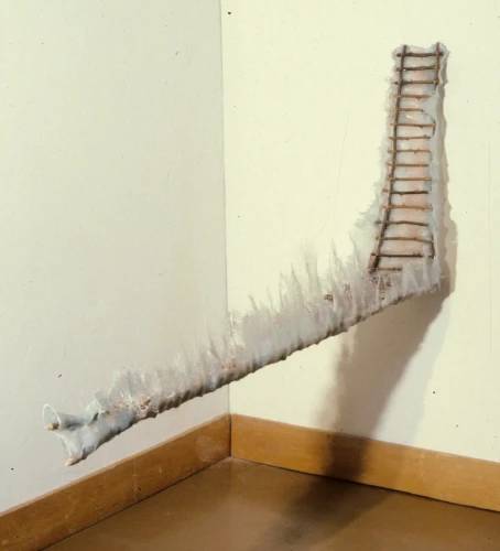 Leu, Fiberglass and Rose Cane, 24 x 14 x 48 inch, 1981