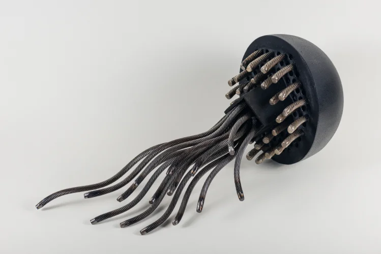 Sea Creature, Steel, 8 x 20 x 12 inch, 2020